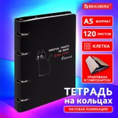 Тетрадь на кольцах А5 160х212 мм, 120 листов, картон, матовая ламинация, клетка, BRAUBERG, "Просто Кот", 404723